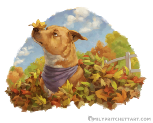 Off to the Races with Mukha the Dingo page 6